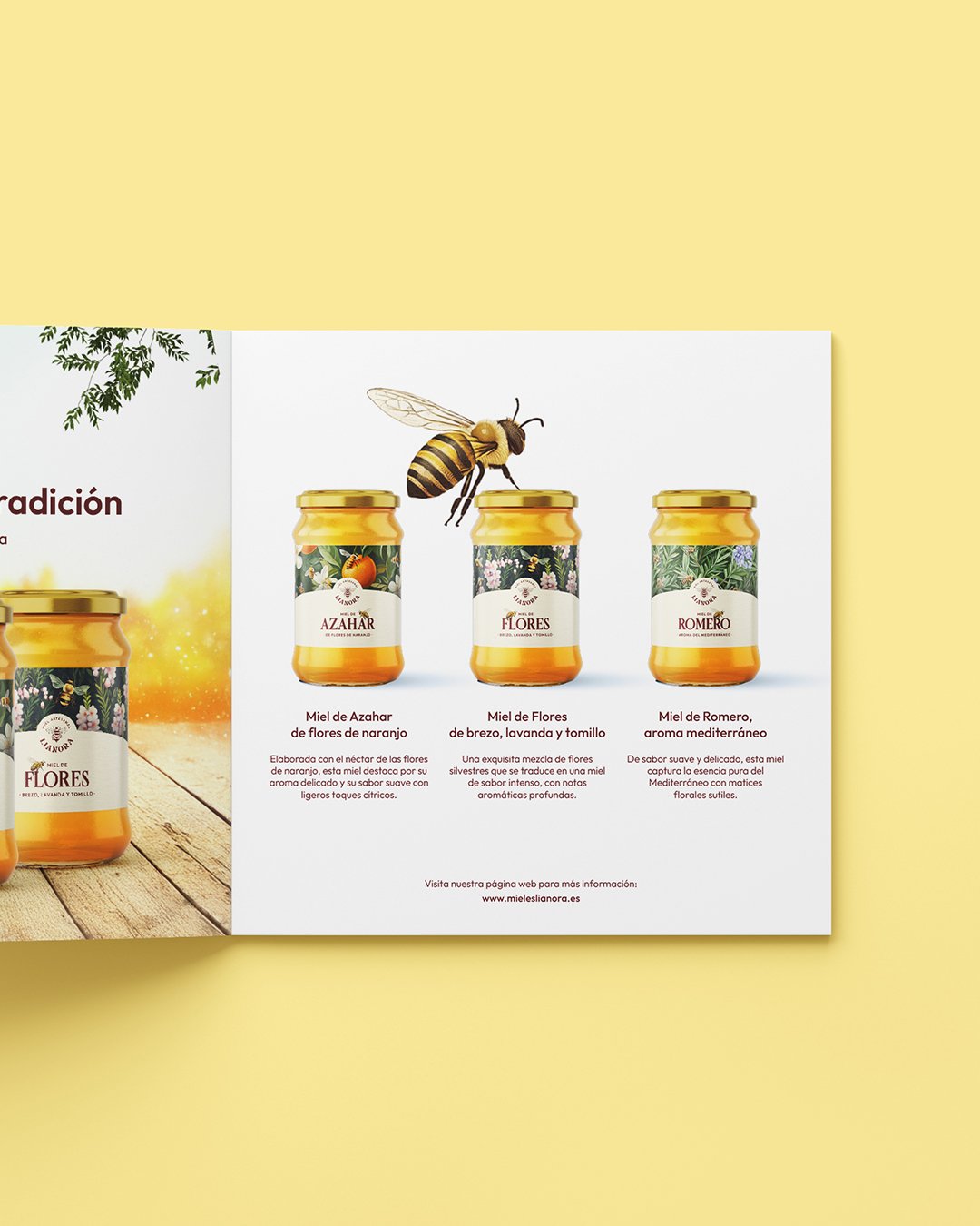 Presentación editorial de los envases Lianora